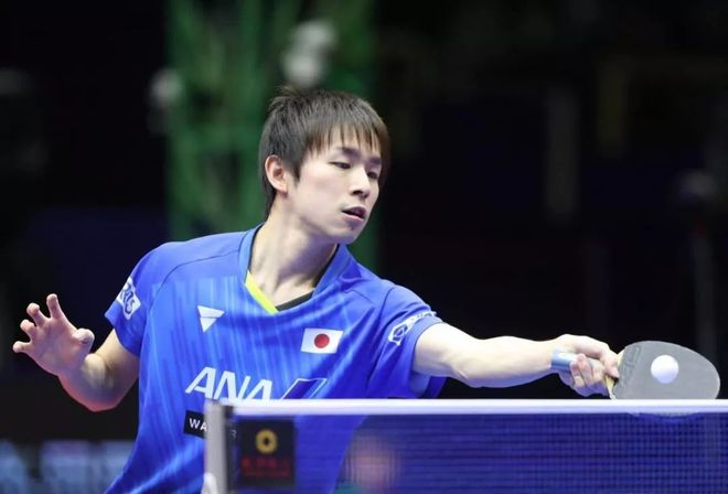 关于韩国乒乓球队力克奥地利乒乓球队，波尔关键制胜的信息