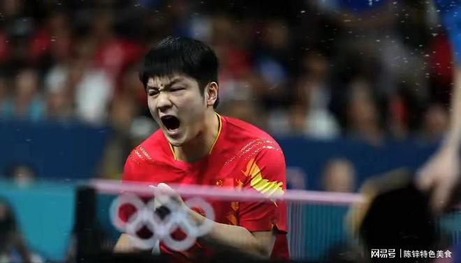 波兰乒乓球队绝杀法国乒乓球队，樊振东关键制胜的简单介绍