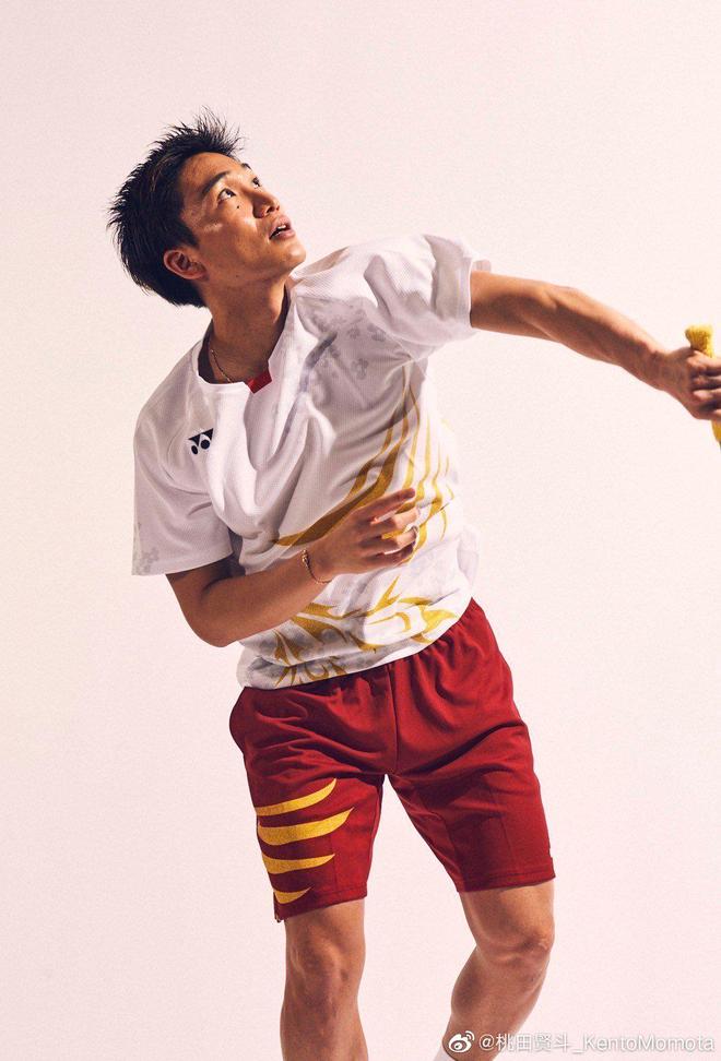 法国羽毛球队血洗马来西亚羽毛球队，桃田贤斗高光表现的简单介绍